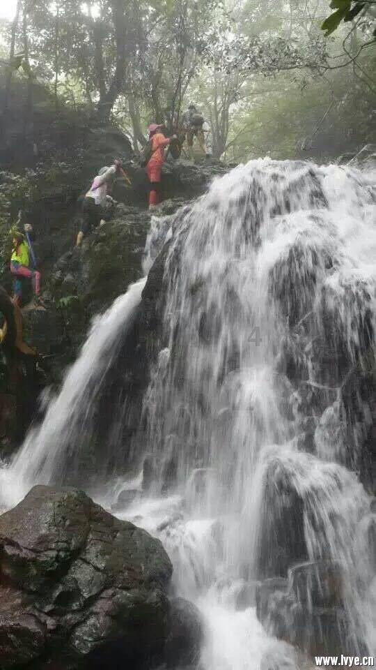 洞庭月历丨水鸟:“湖水清澈,倒映着我”